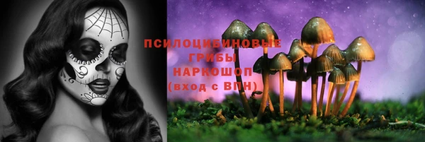 PSILOCYBIN Абинск