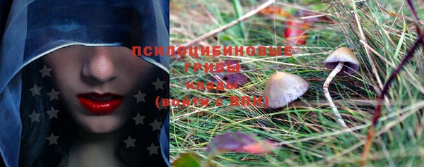 PSILOCYBIN Абинск