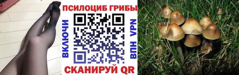 Галлюциногенные грибы GOLDEN TEACHER  Ак-Довурак 
